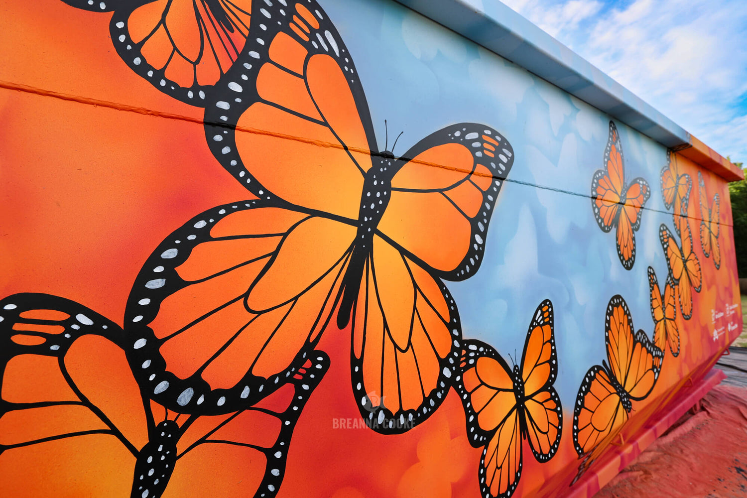 Monarch Butterflies