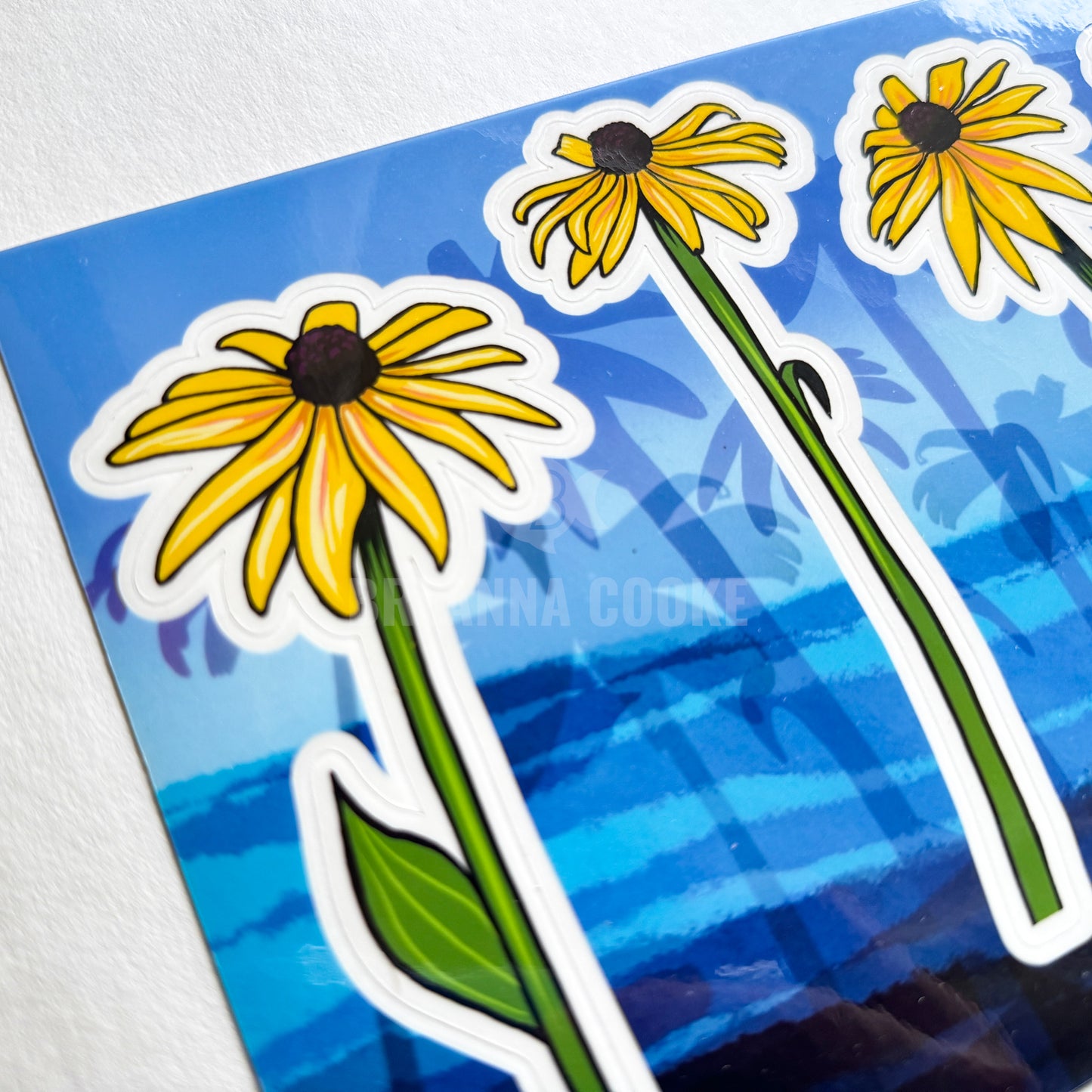 Black-Eyed Susan Wildflower | Clear Sticker Sheet | 4 Clear Stickers
