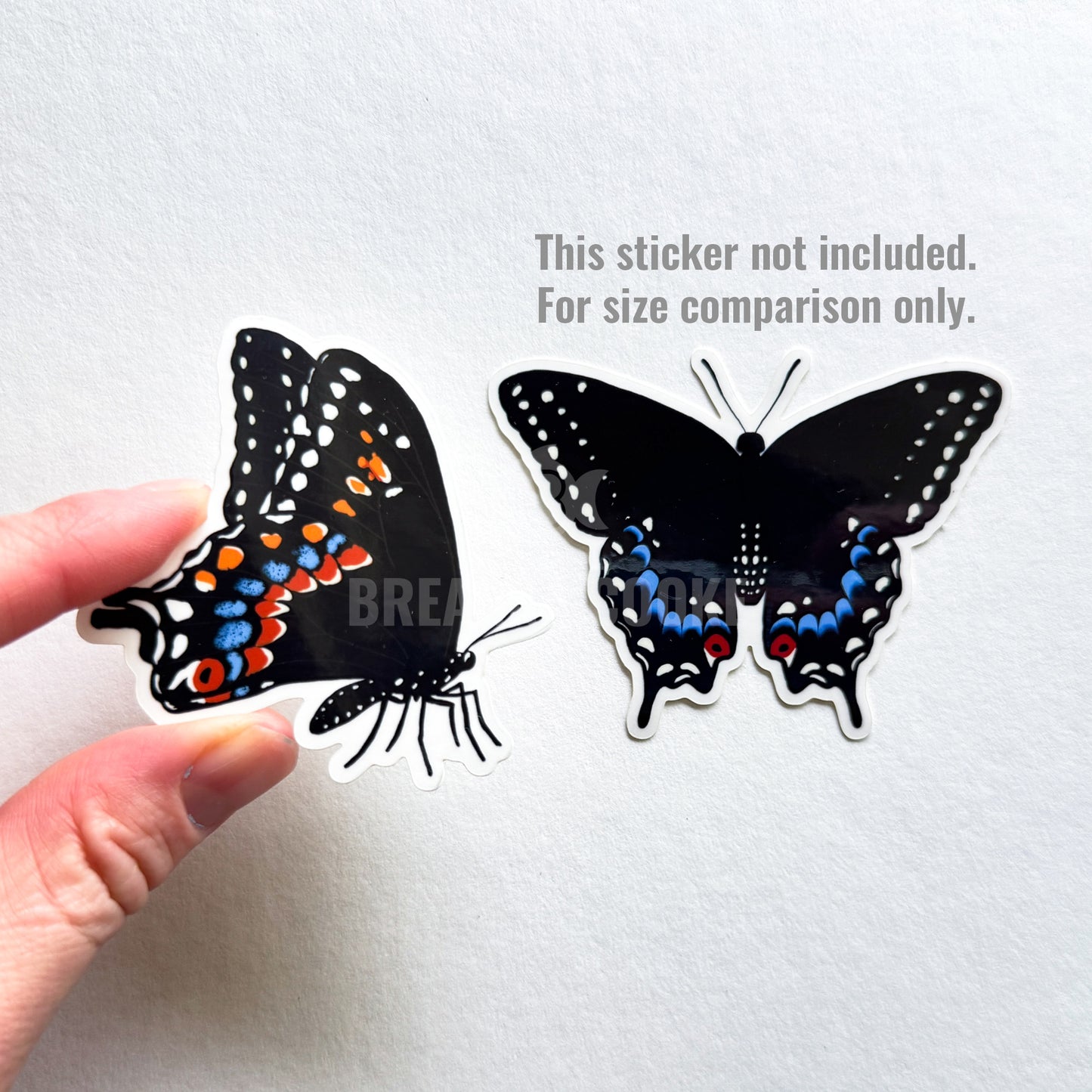 Black Swallowtail Butterfly Side View | Clear Sticker | 3 x 2 in