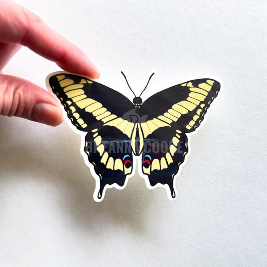 Giant swallowtail butterfly clear sticker being held by a hand.