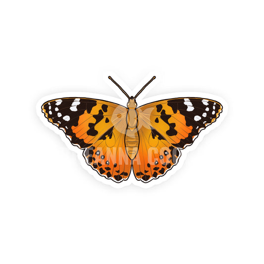 Painted Lady Butterfly | Clear Sticker | 2 x 1.5 in