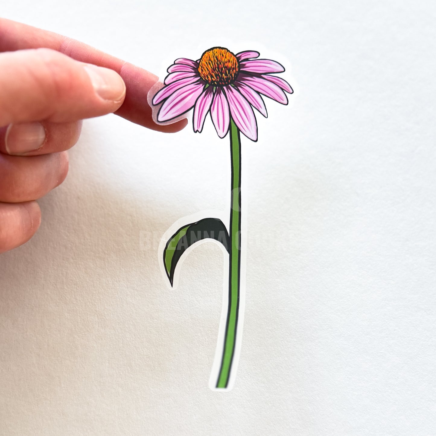 Purple Coneflower Clear Sticker Sheet | 4 Clear Stickers