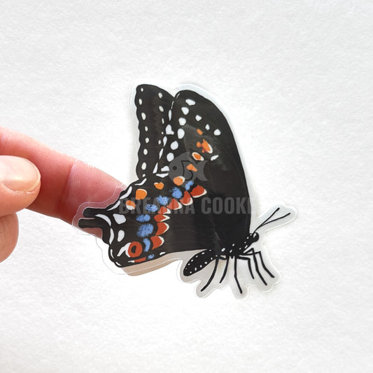 Black Swallowtail Butterfly Side View | Clear Sticker | 3 x 2 in
