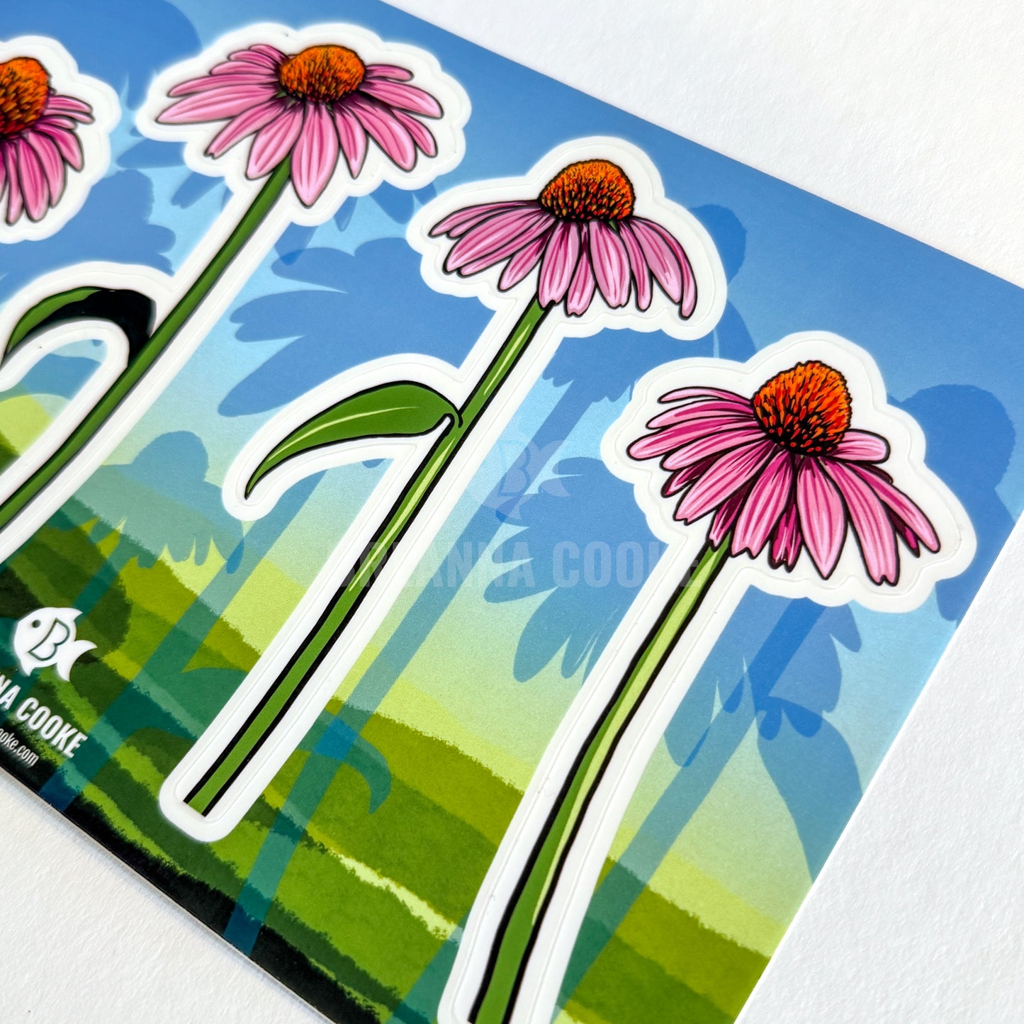 Purple Coneflower Clear Sticker Sheet | 4 Clear Stickers