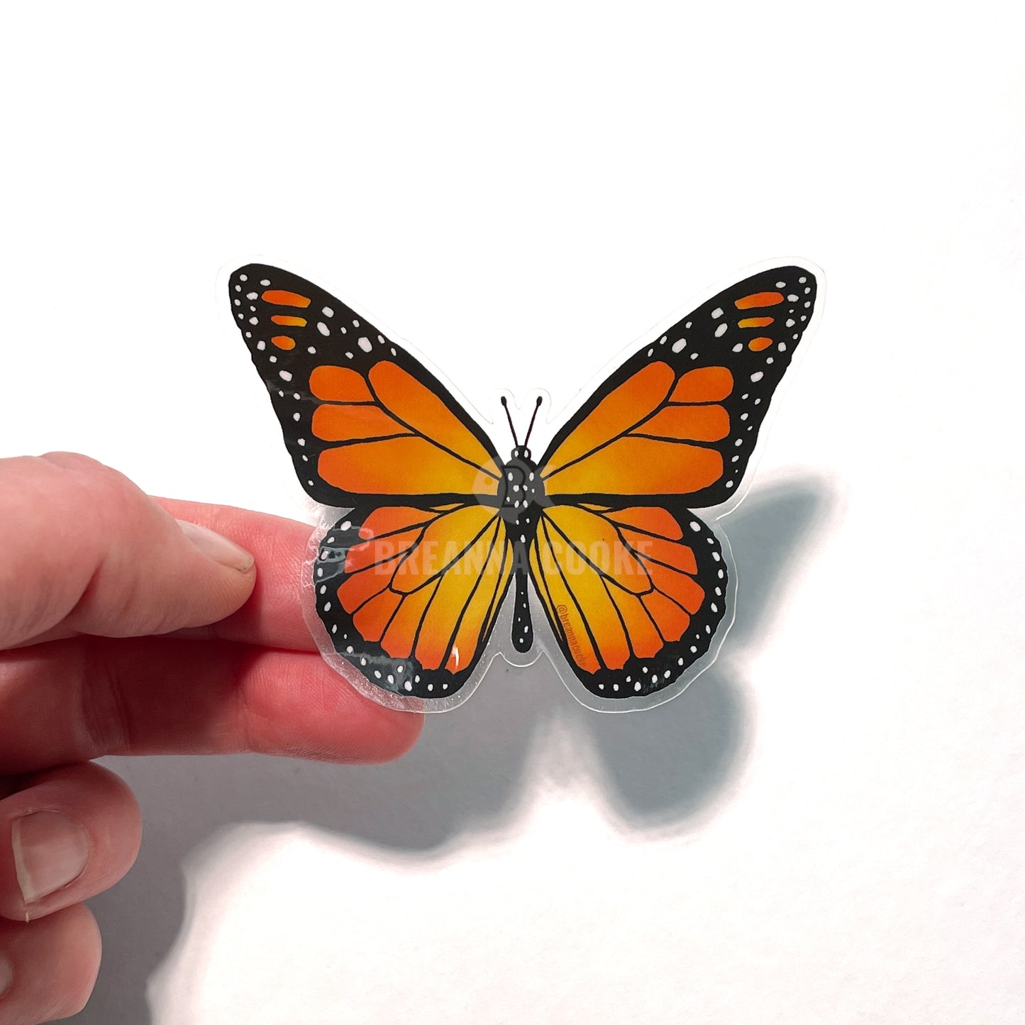 Monarch Butterfly | Clear Sticker | 3 x 2 in