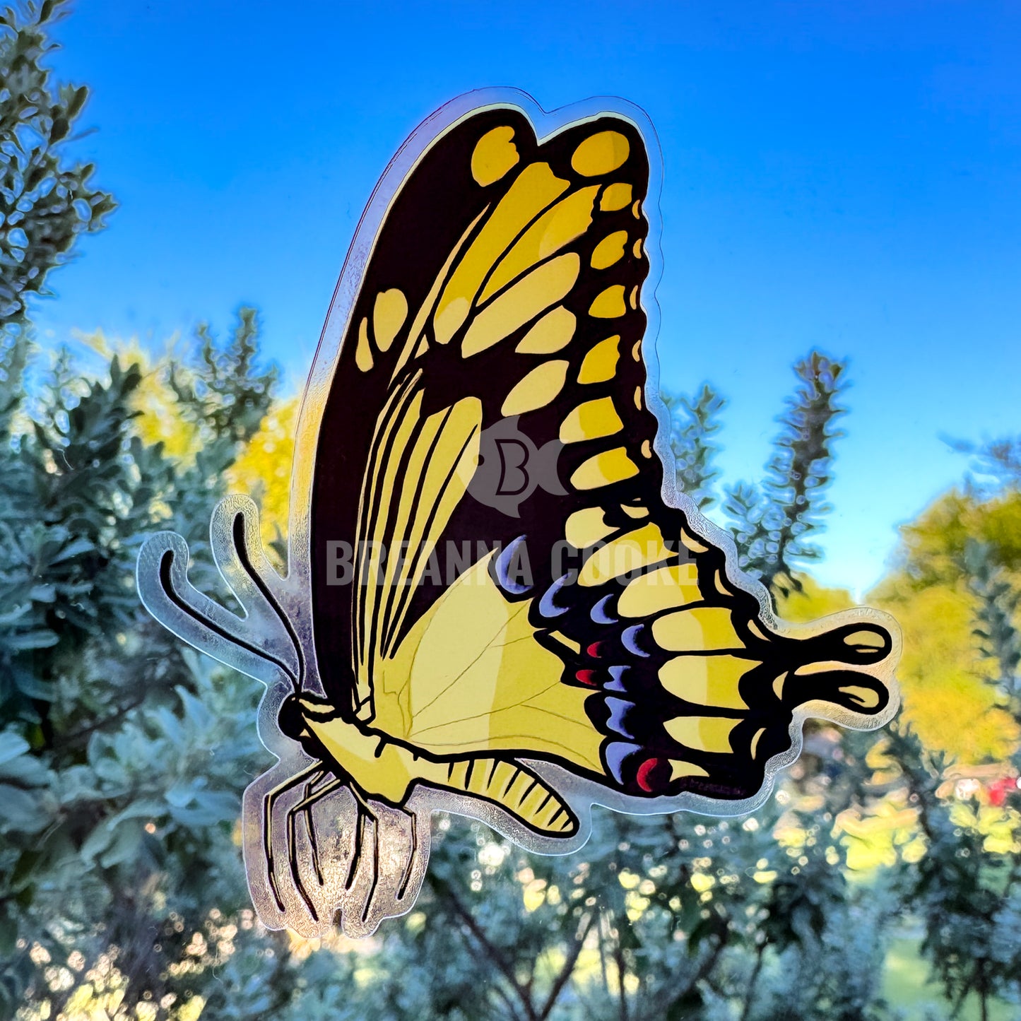 Giant swallowtail butterfly clear sticker perched on a hand on a blurred natural background.