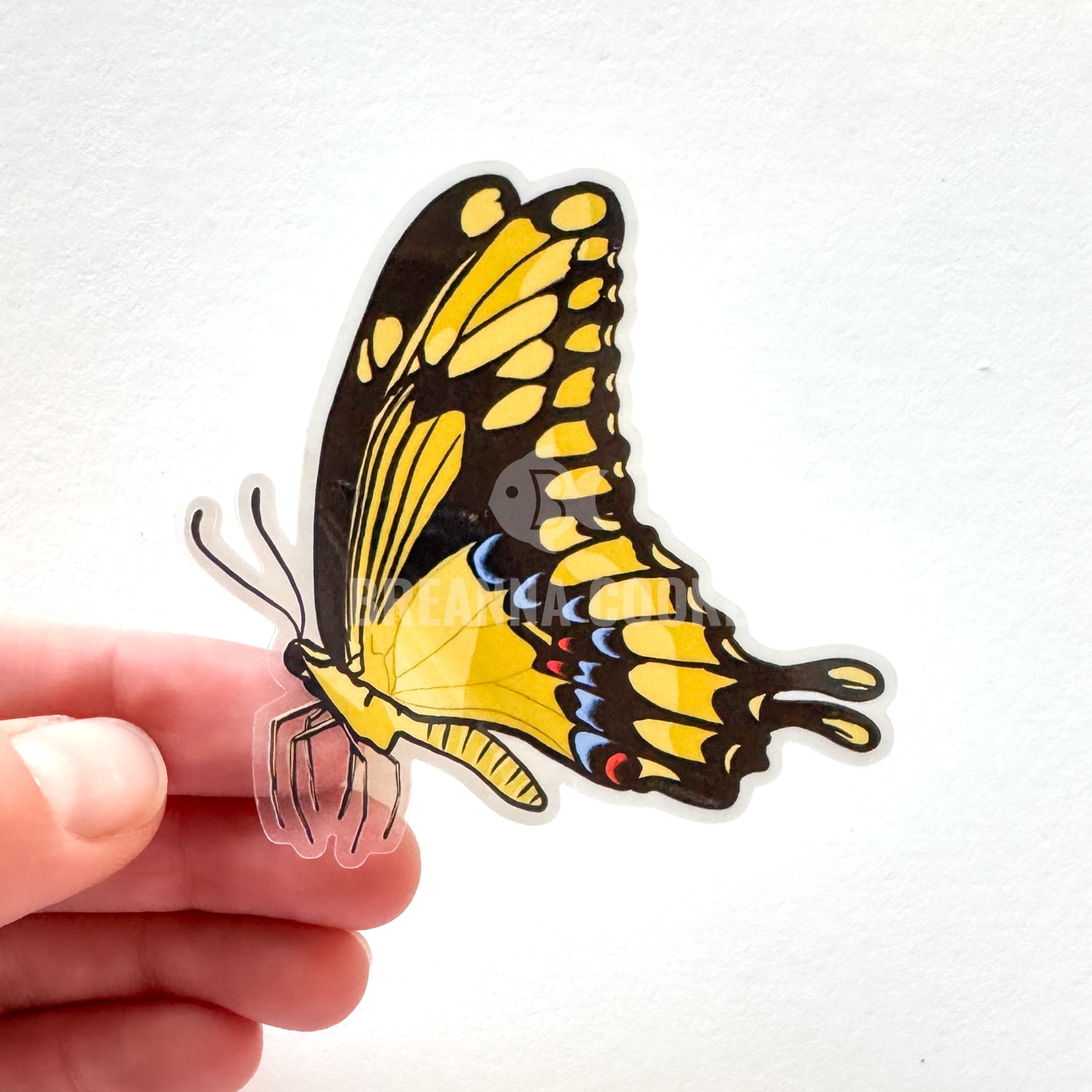 Giant swallowtail butterfly clear sticker perched on a hand on a white background.