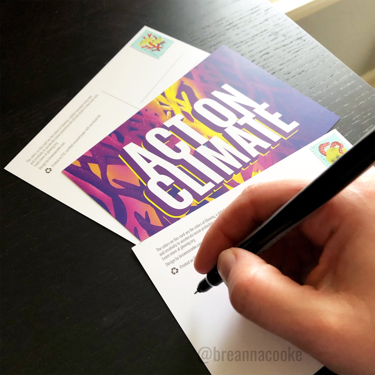 Climate Advocate Bundle | Greeting Card + Postcards